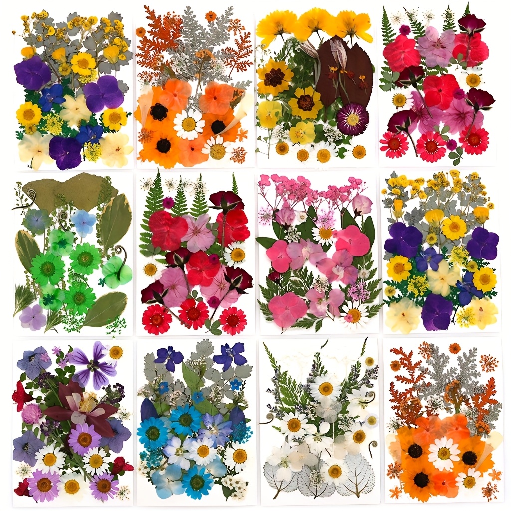 500pcs of Random Materials for - مراجعة Phone Cases With Pictures وسعره